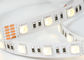 Супер яркое декоративное освещение приведенное высокой интенсивности прокладки 24В РГБ гибкое поставщик